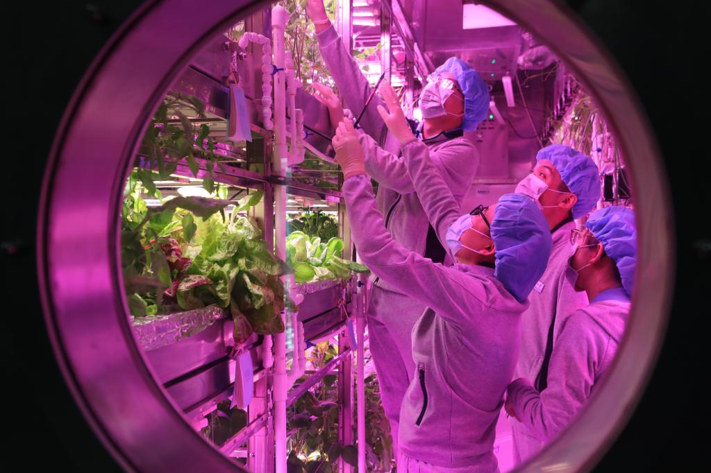 4910EEE451636E9C49292135644_6DB03481_17BD9.jpg?e=