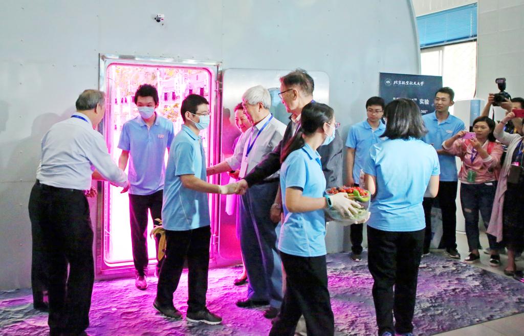 D2A5F5AE93A1F0DDFA16CF93AE8_59003A1C_1A21F.jpg?e=