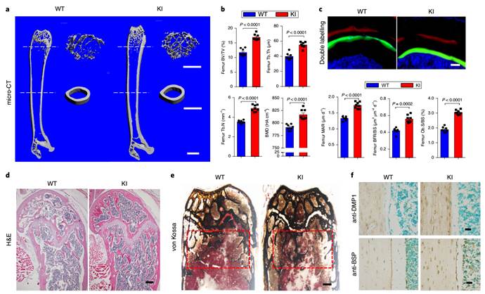 7A5FCA6293AFCC28FCA9A1E8192_F1DF9C89_DB08