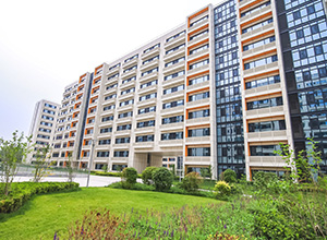 mg冰球突破·豪华版(试玩)官网首页